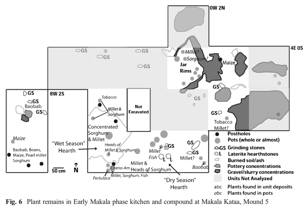 Map of various plant remains and landmarks at Makala Kataa, Mound 5.